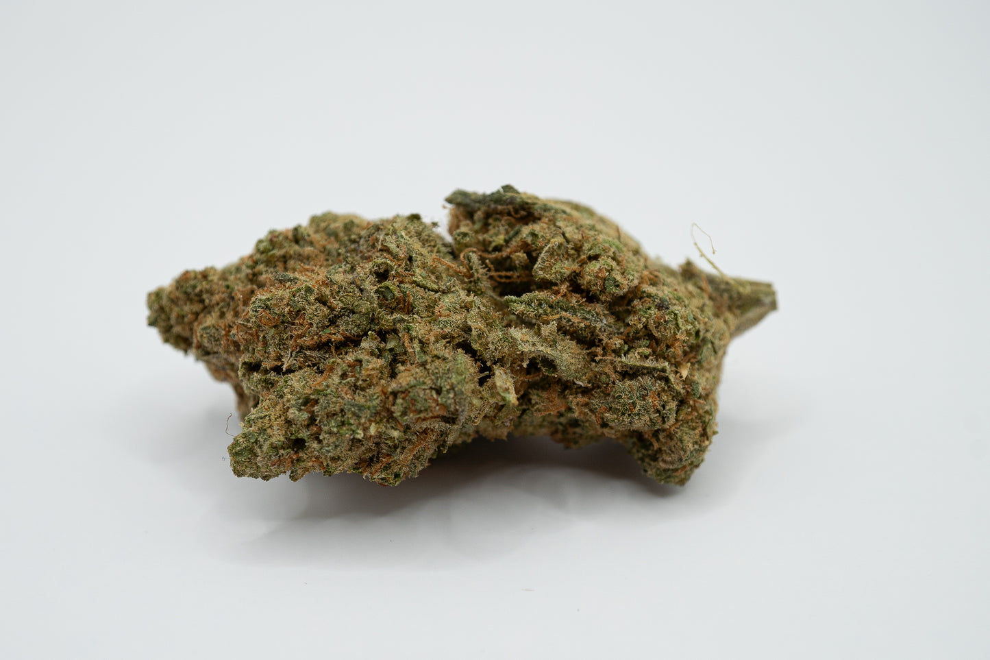 MIMOSA